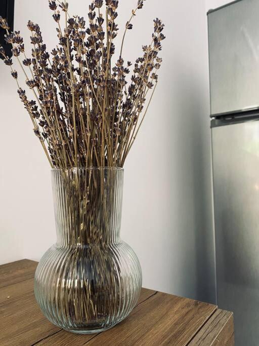 Barkon Apartment يانينة المظهر الخارجي الصورة